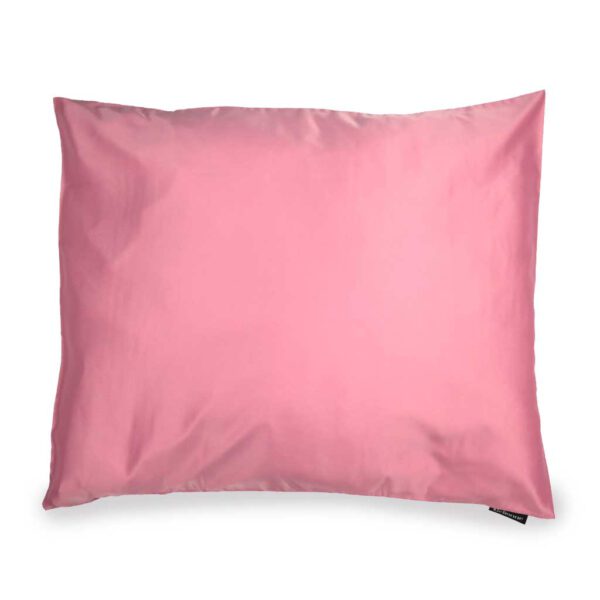 Absolute Pink